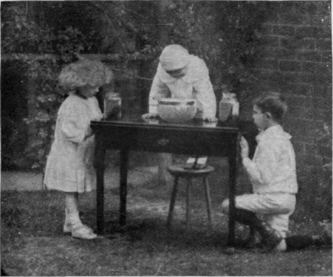 Studying plant and other life in the aquariums. A large glass jar or bowl will serve all necessary purposes, and can be replaced easily if broken