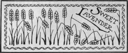 Suggested design for the ornamentation of the cover. If considered too elaborate, simple feather stitching would be a pretty finish