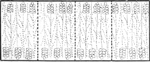 The muslin bag containing sprays of lavender should be made with separate compartments and tacked to the under side of the cover