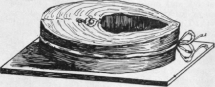 Trussed slice of salmon or cod