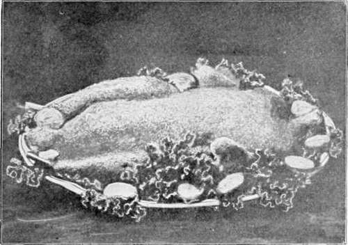 Baked Goose.