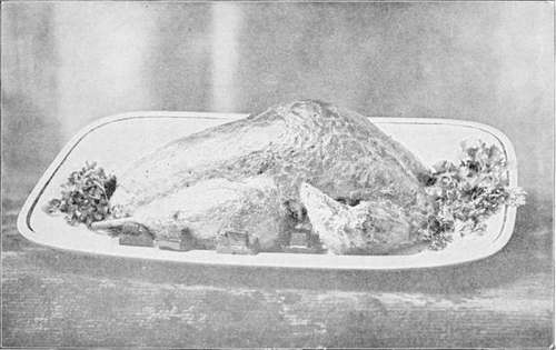 Roast Turkey.