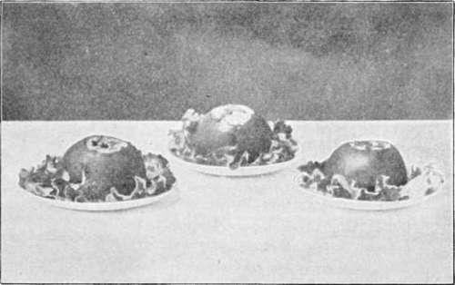Stuffed Tomatoes.