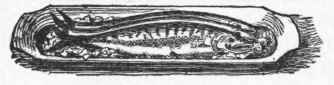 Fig. 8. Small Fish served whole.
