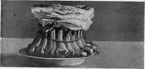 Crown Roast Prepared For Cooking.