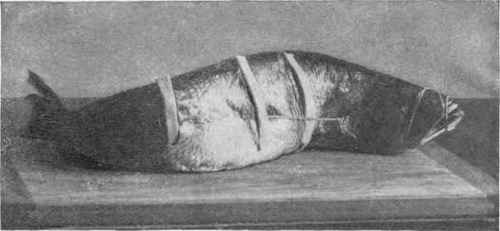 Fish Prepared To Bake.