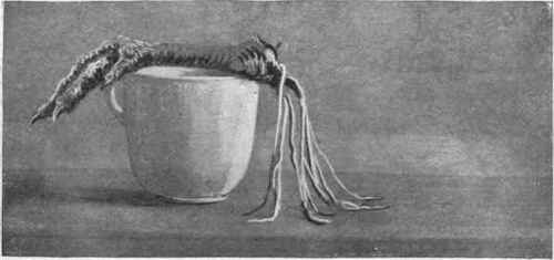 Leg Of Chicken With Sinews Drawn.