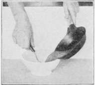 Working Directions To Be Followed By All Even Numb Cooking 27