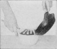 Working Directions To Be Followed By All Even Numb Cooking 95