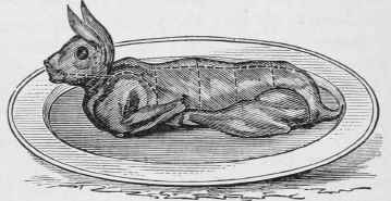 ROAST HARE.