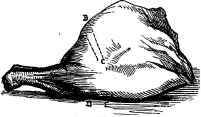 Leg of Mutton.