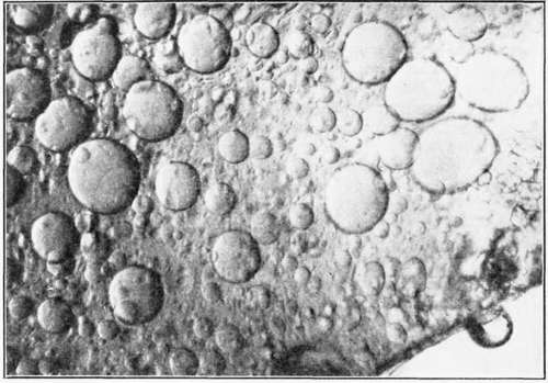 Factors Affecting The Ease Of Formation And Stabil 55