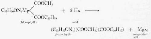 The effect of heat upon chlorophyll
