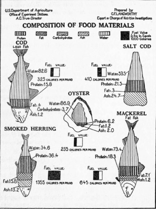 Composition of Fish and Oysters