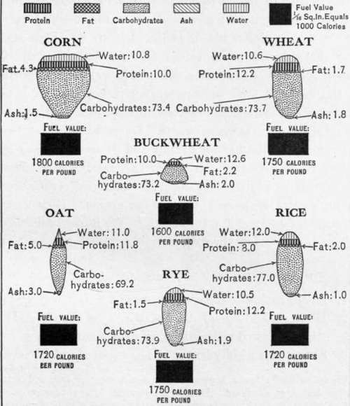 Chart 1.