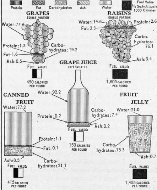 Chart 11.