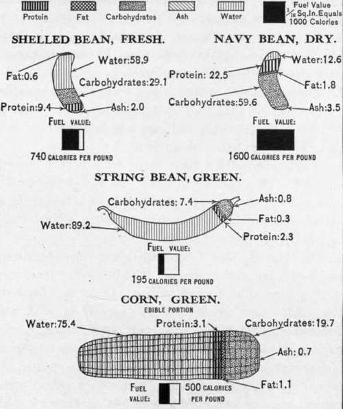 Chart 12.