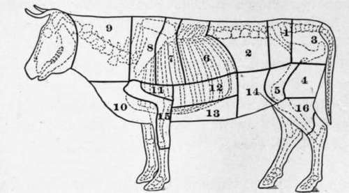 Fig. 11. Diagram showing cuts of beef.