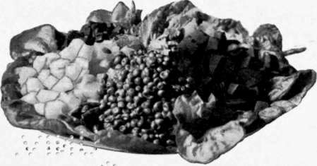 Macedoine Salad.