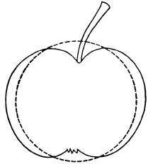 Pear: Oblong