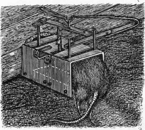Exterminator Tunnel Rat Trap. (Supplied by Messrs. Wm, Burgess & Co., Malvern Wells.)
