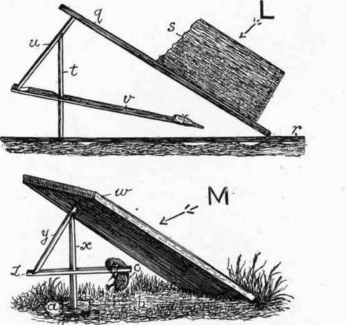 Figure 4 Traps.