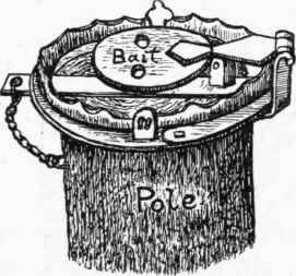 Hawk or Pole Trap.