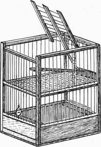 Thomas & Co.'s Double Cage Trap.
