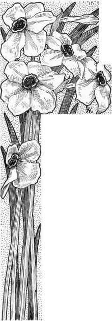 Naturalizing 99