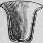 Flower Pots 47