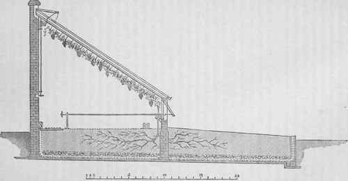 Vinery For Early Forcing 7009