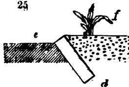  Leading Rules For Laying Out And Planting Flowe 25