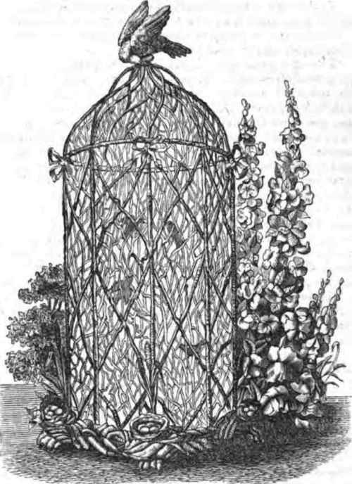 A Summer Aviary.