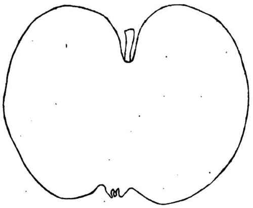 The Jaokson Apple.