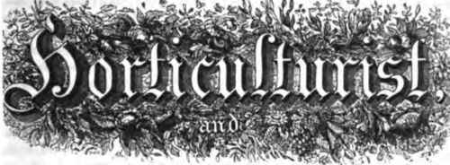 Mulching 70025