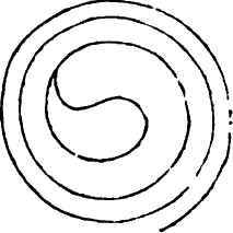 To Form A Volute Where The Border Is Of Equal Brea 40075