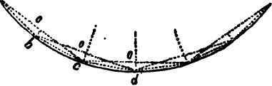 To Form A Volute Where The Border Is Of Equal Brea 40077