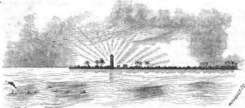 CAPE FLORIDA.
