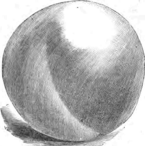 Alida Peach.