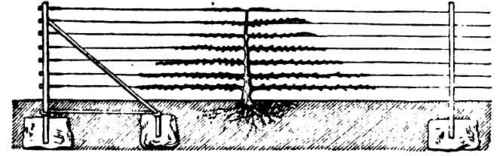 Espalier Railing 400103