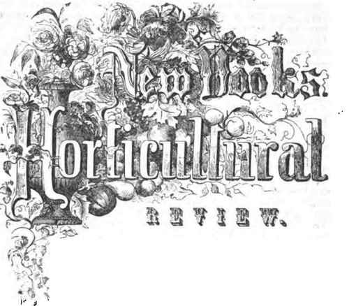New Books Horticultural Review 140092