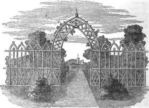 November New Books Horticultural Review 1300138
