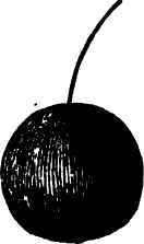 Cherry.