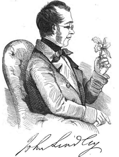 DR. JOHN LINDLEY.