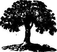 Facts In Grape Culture 140082