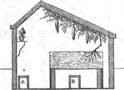 Forcing In The Hothouse 120011