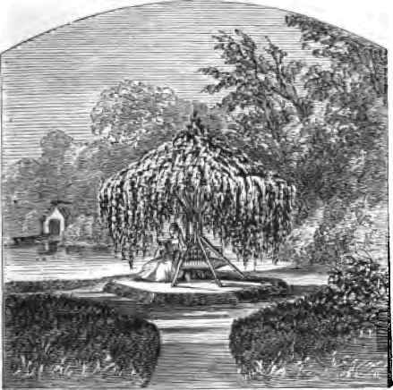 Arbor Seat.