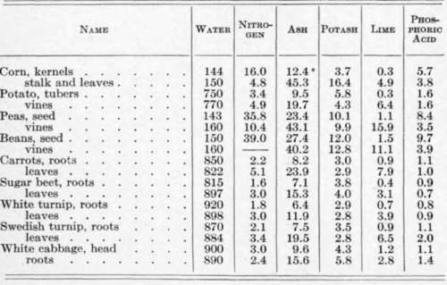 Fertility Content Of Vegetables 69