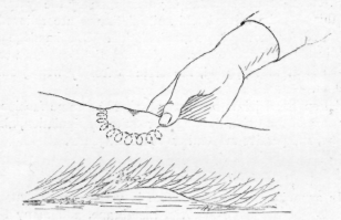 Fig. 104. Friction Round the Knee.