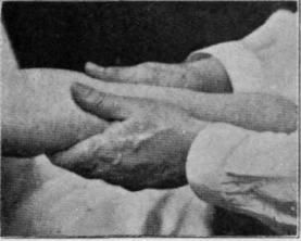 Fig. 15